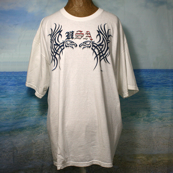 Gildan Other - GILDAN Mens Eagles and USA Patriotic T-Shirt